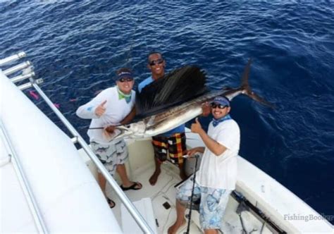 Best Times & Seasons to Fish Aruba (A Complete .